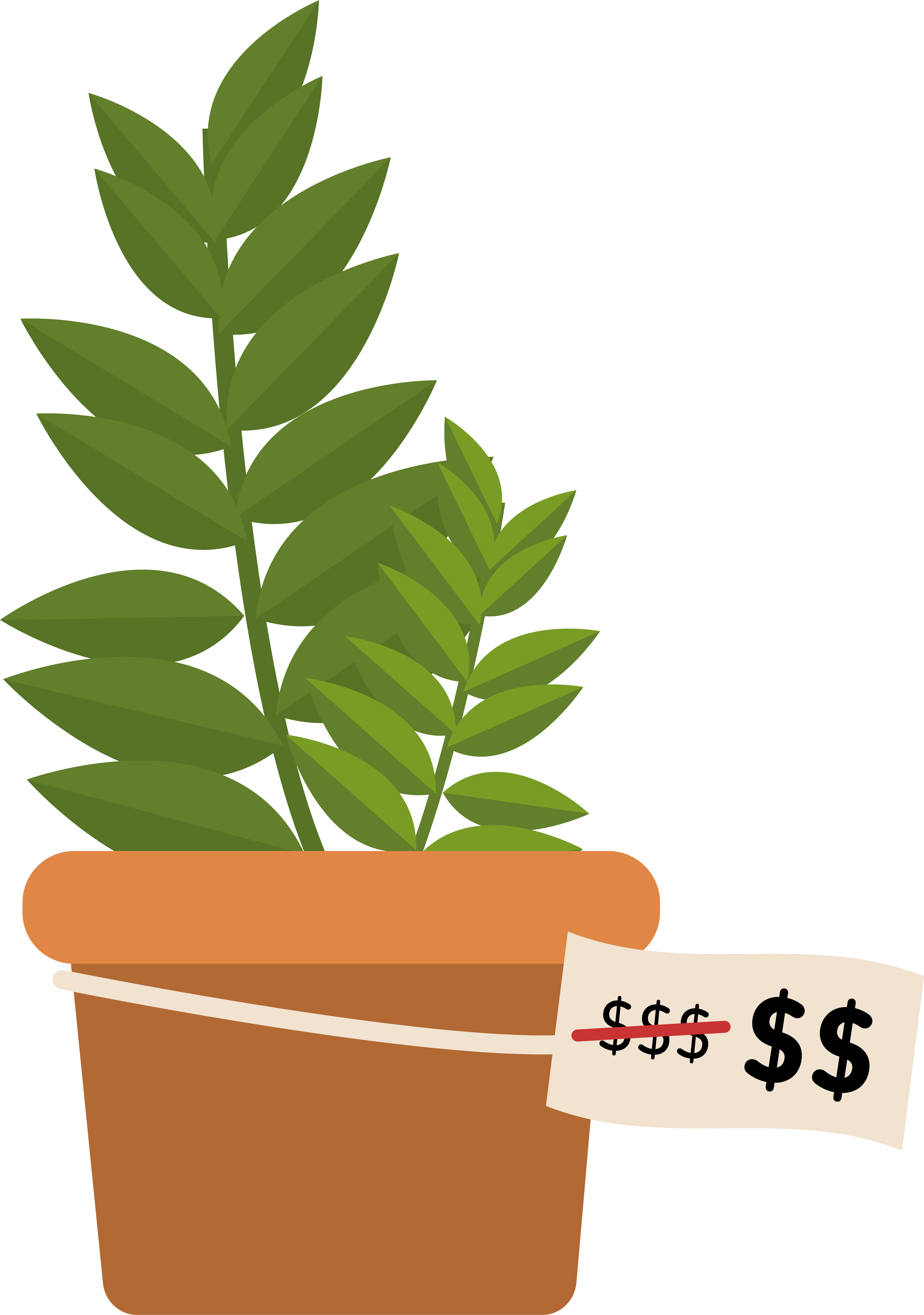 rapiboy planta sobre maceta con su precio tachado para mostrar uno con una unidad de $ menos