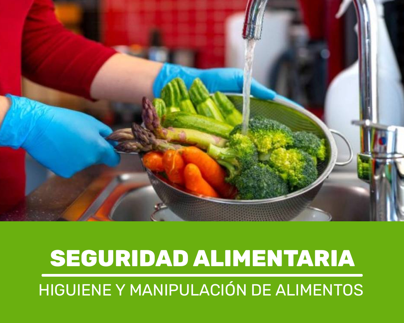 Higiene y Manipulación de Alimentos – Seguridad Alimentaria