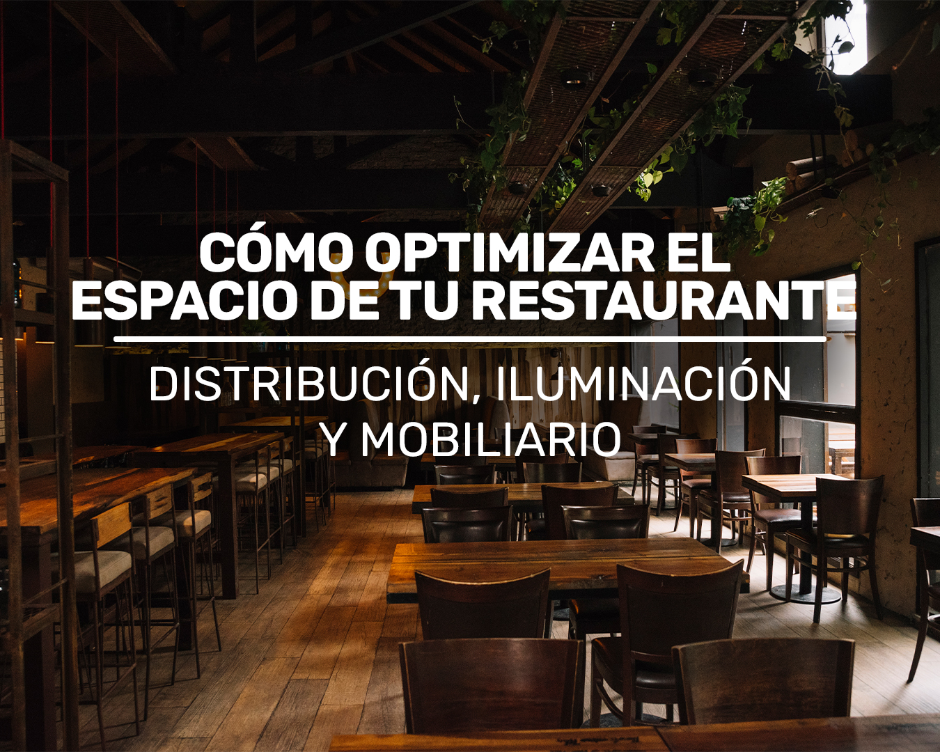 Cómo Optimizar el Espacio de tu Restaurante: Distribución, Iluminación y Mobiliario